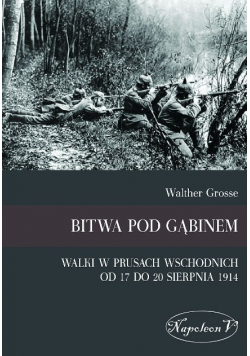 Bitwa pod Gąbinem