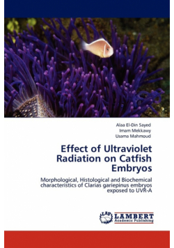 Effect of Ultraviolet Radiation on Catfish Embryos
