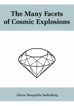 The Many Facets of Cosmic Explosions