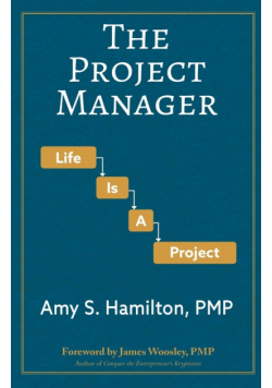 The Project Manager