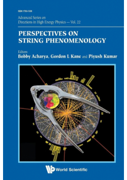 Perspectives On String Phenomenology