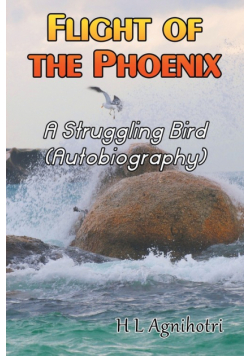 Flight of the Phoenix