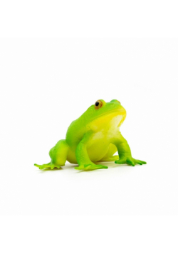 Gumowa żaba