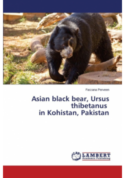 Asian black bear, Ursus thibetanus in Kohistan, Pakistan