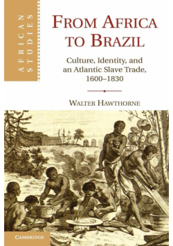 From Africa to Brazil