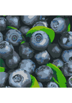 Malowanie po numerach - Soczysta borówka 25x25