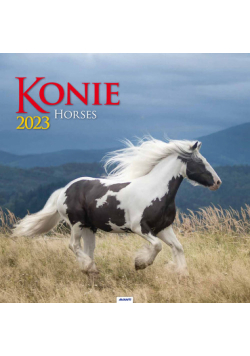 Kalendarz 2023 spirala kw Konie KD22