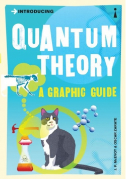 Introducing Quantum Theory a graphic guide
