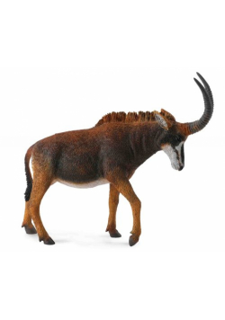 Antylopa wielka sable samica