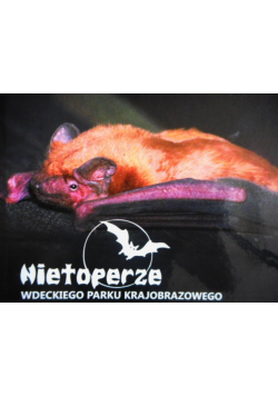 Nietoperze Wdeckiego parku krajobrazowego