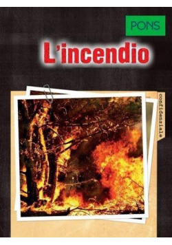 L'incendio