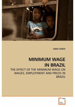 Minimum Wage In Brazil