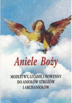 Aniele Boży. Modlitwy, litanie i nowenny do...