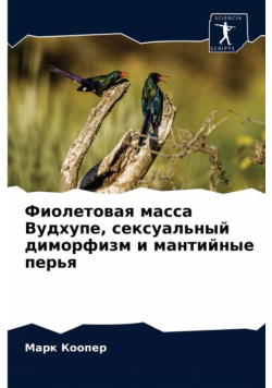 Фиолетовая масса Вудхупе, сексуальный диморфизм и мантийные перья