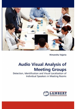 Audio Visual Analysis of Meeting Groups