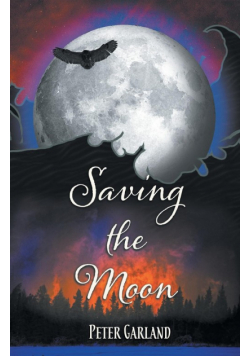 Saving the Moon