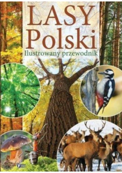 Lasy Polski  Ilustrowany przewodnik