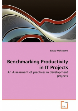 Benchmarking Productivity in IT Projects