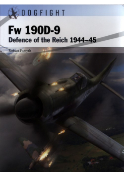 Fw 190D-9 Northwest Europe 1944-45