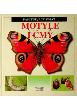 Motyle i ćmy