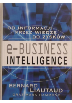 E Business Intelligence. Od informacji przez wiedzę do zysków