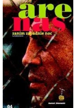 Zanim zapadnie noc