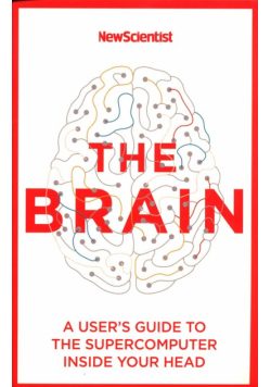 The Brain