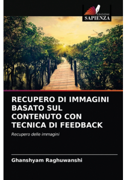 Recupero Di Immagini Basato Sul Contenuto Con Tecnica Di Feedback