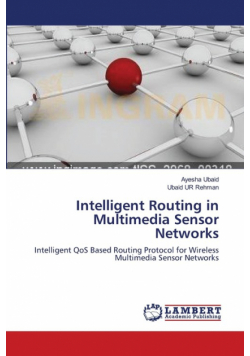Intelligent Routing in Multimedia Sensor Networks