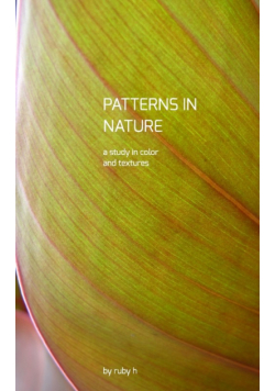 Patterns in Nature