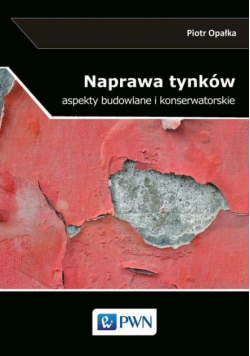 Naprawa tynków