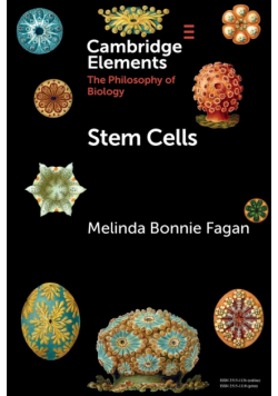 Stem Cells