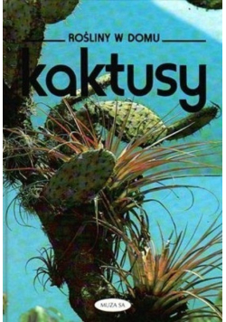 Rośliny w domu Kaktusy