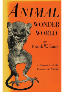 Animal Wonder World