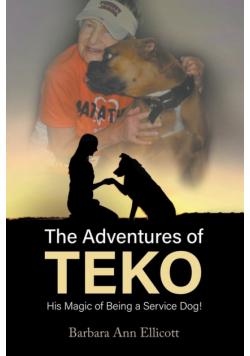 The Adventures of TEKO