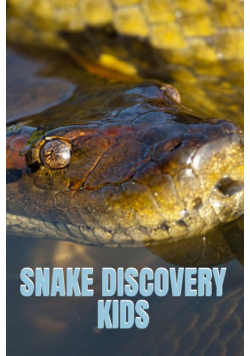 Snake Discovery Kids