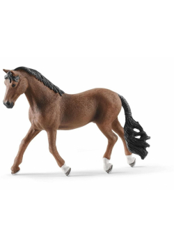 Wałach Trakehner