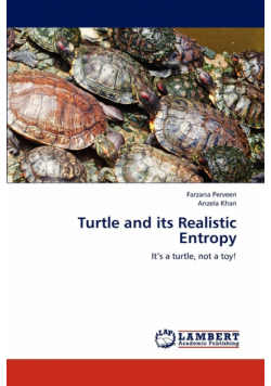 Turtle and its Realistic Entropy