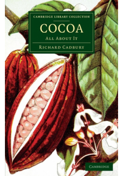 Cocoa