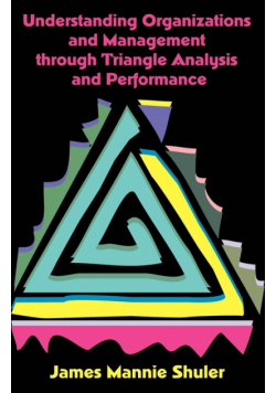 Understanding Organizations and Management Through Triangle Analysis and Performance