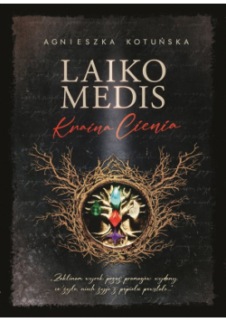 Laiko medis