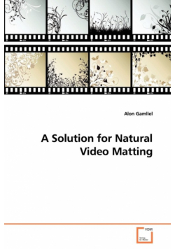 A Solution for Natural Video Matting