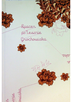 Spacer po Lesznie Grochowiaka