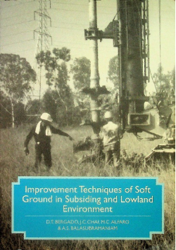 Improvement Techniques of Soft Ground in Subsiding and Lowland Environment