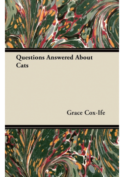 Questions Answered About Cats