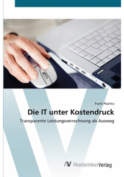 Die IT unter Kostendruck