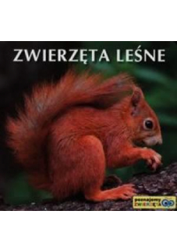 Poznajemy zwierzęta - Zwierzęta leśne