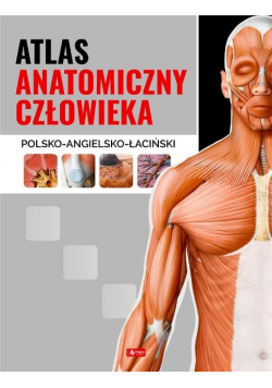 Atlas anatomiczny człowieka