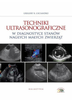 Techniki ultrasonograficzne w diagnostyce stanów