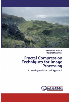 Fractal Compression Techniques for Image Processing